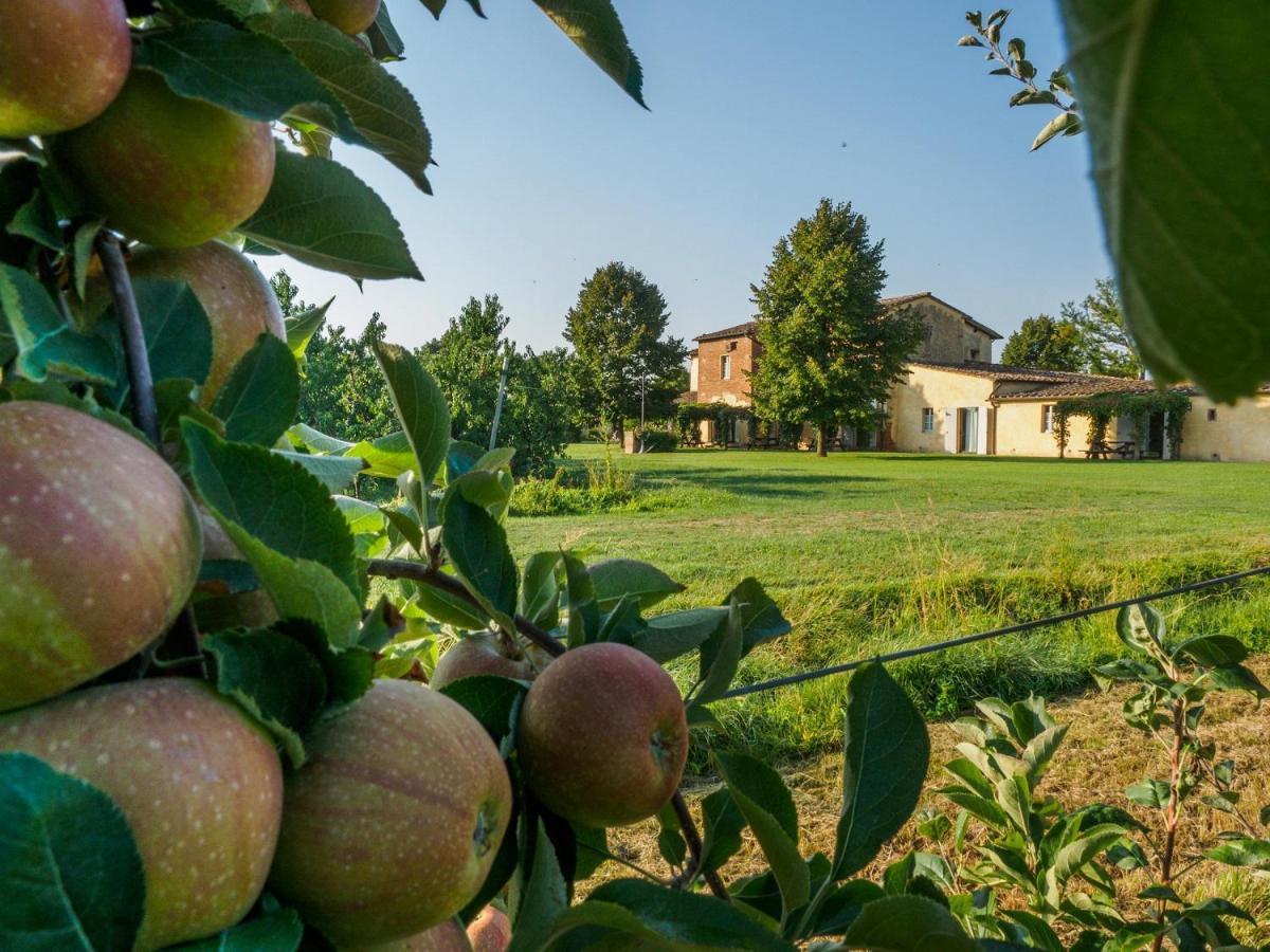 Foresteria Il Giardino Di Fontarronco Alberoro Eksteriør billede