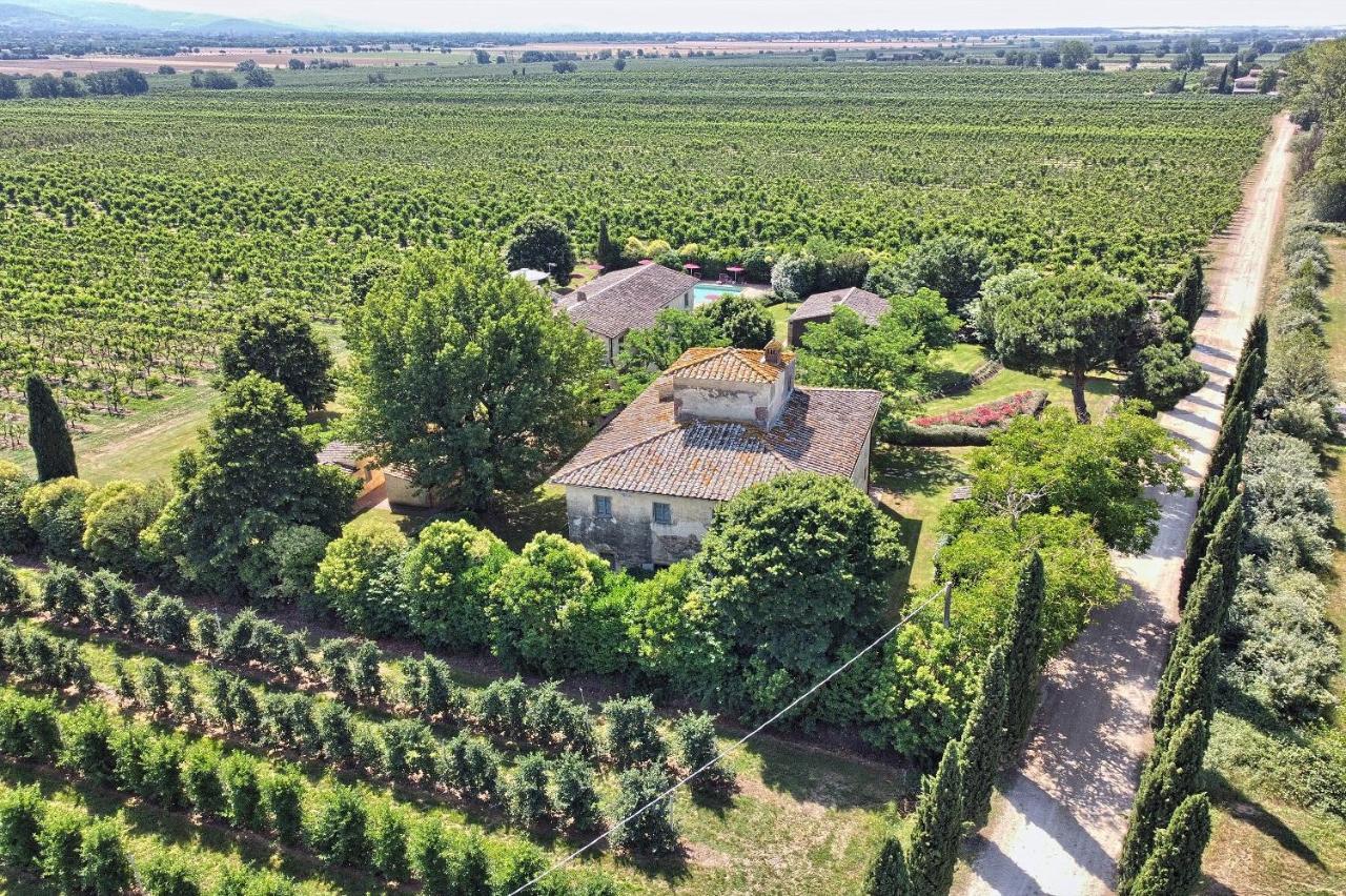 Foresteria Il Giardino Di Fontarronco Alberoro Eksteriør billede