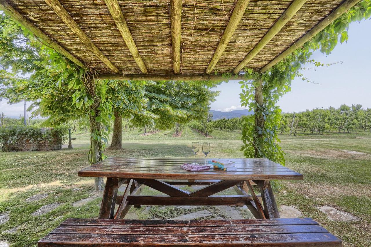 Foresteria Il Giardino Di Fontarronco Alberoro Eksteriør billede