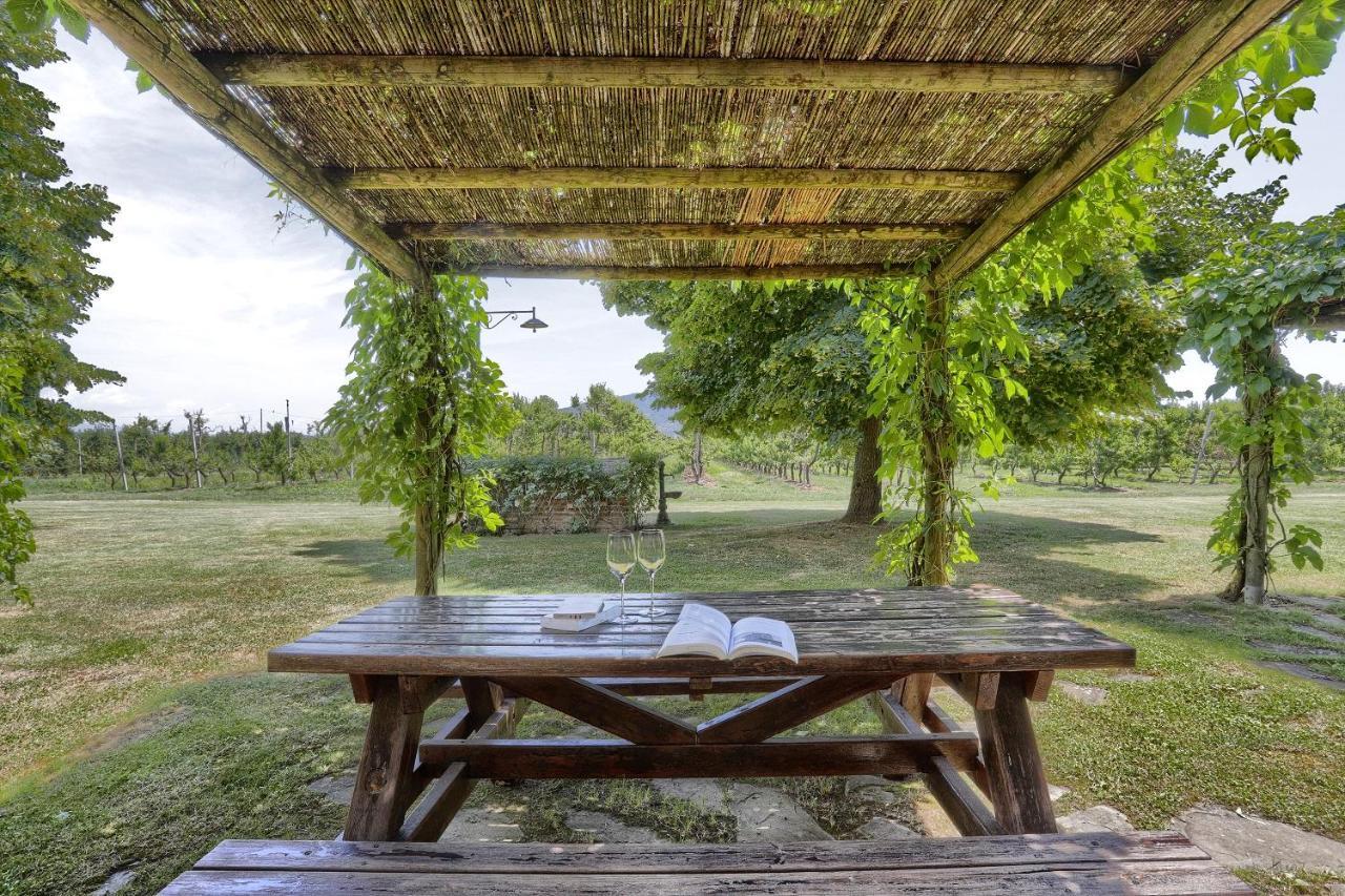 Foresteria Il Giardino Di Fontarronco Alberoro Eksteriør billede